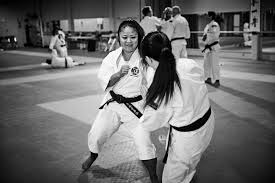 Image result for Tolworth Shorinji Kempo Branch