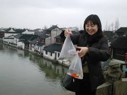 Image result for 2005早春