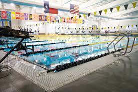 Image result for City of Preston Aquatics
