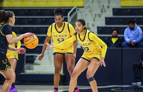 Image result for Woodley Basketball Club