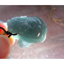 Αποτέλεσμα εικόνας για jade dragon turtle