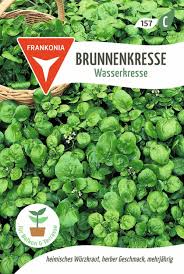 Image result for Brunnenkresse