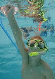 Image result for St. Albans Snorkelling Club (SASC)
