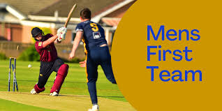 Image result for Downpatrick Cricket Club