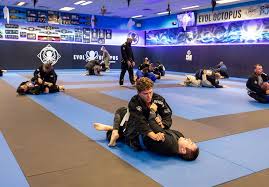 Image result for Oel Ju Jitsu Clubs