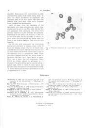 Attēlu rezultāti vaicājumam “Physarum ovisporum spores”