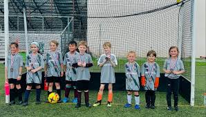 Image result for Haslemere Town Youth Football Club