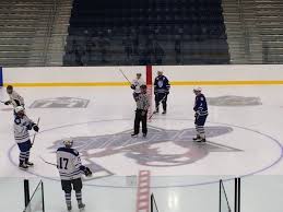 Image result for West Coast Wasps Skater Hockey Club