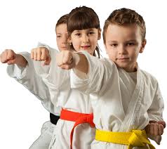 Image result for Kidderminster Martial Arts Academy