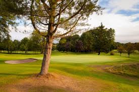 Image result for Bishopbriggs Golf Club
