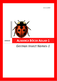 Attēlu rezultāti vaicājumam “Paramesus obtusifrons”