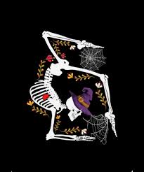 Image result for Flic Flac Gym Club, Eccleston