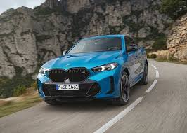 Image result for BMW X6
