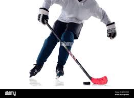 Image result for Havering Skater Hockey Club