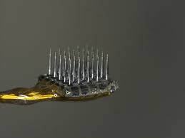 Image result for Uta Matrix