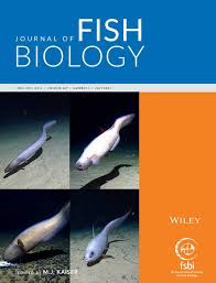 Image result for Argyrosomus inodorus