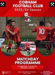 Image result for Camberley Ladies Football Club