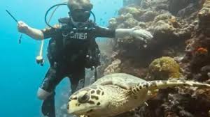 Image result for World Divers