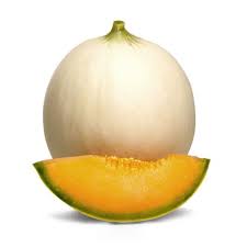Image result for Melone