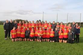 Image result for Moycarkey-Borris Gaa Club
