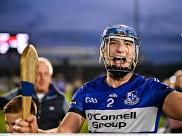 Image result for Patrick Sarsfield Gaelic Athletic Club