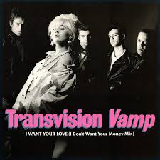 Image result for transvision vamp