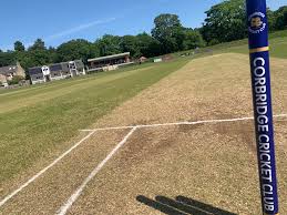 Image result for Edenbridge Cricket Club