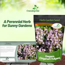 Attēlu rezultāti vaicājumam “Origanum vulgare bud”