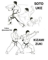 Image result for British Karate Shunen Jutsu