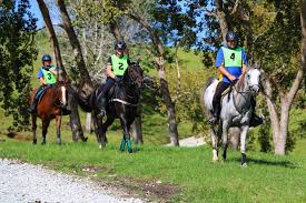 Image result for Woodhill Riding Club