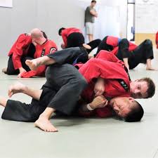 Image result for Epsom and Leatherhead Martial Arts