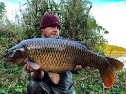 Image result for Hull & District Anglers' Association