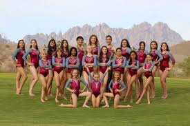 Image result for Cheam Girls Gc