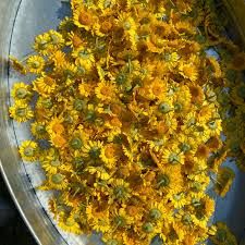Attēlu rezultāti vaicājumam “Anthemis tinctoria flower”