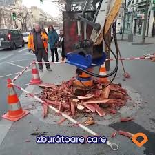 Image result for dipperfox tehron