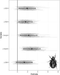 Attēlu rezultāti vaicājumam “Osmoderma barnabita imago”