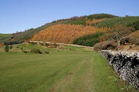 Image result for Woll Golf Course