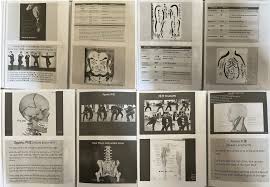 Image result for Peter Kings Dojo