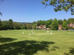 Image result for Abinger Sports Club