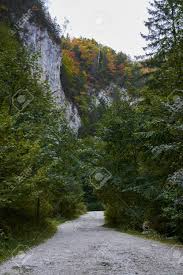 「ネスティ・バスク」の画像検索結果