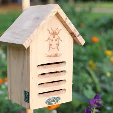 Image result for ladybug house
