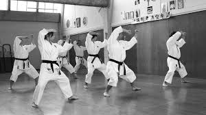 Image result for Norfolk Karate