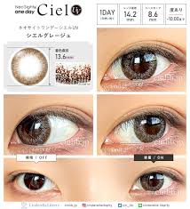 「ネオサイトワンデーシエル」の画像検索結果