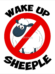 Image result for sheeple