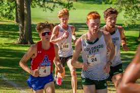 Image result for Westerlands Cross Country Club