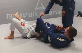 Image result for British Jiu-Jitsu School