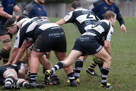 Image result for Sutton & Epsom Rugby Football Club