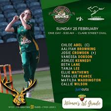 Image result for Beccles Town Cricket Club