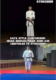 Image result for Jin Sei Kai Shotokan Karate