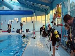 Image result for TAL Divers